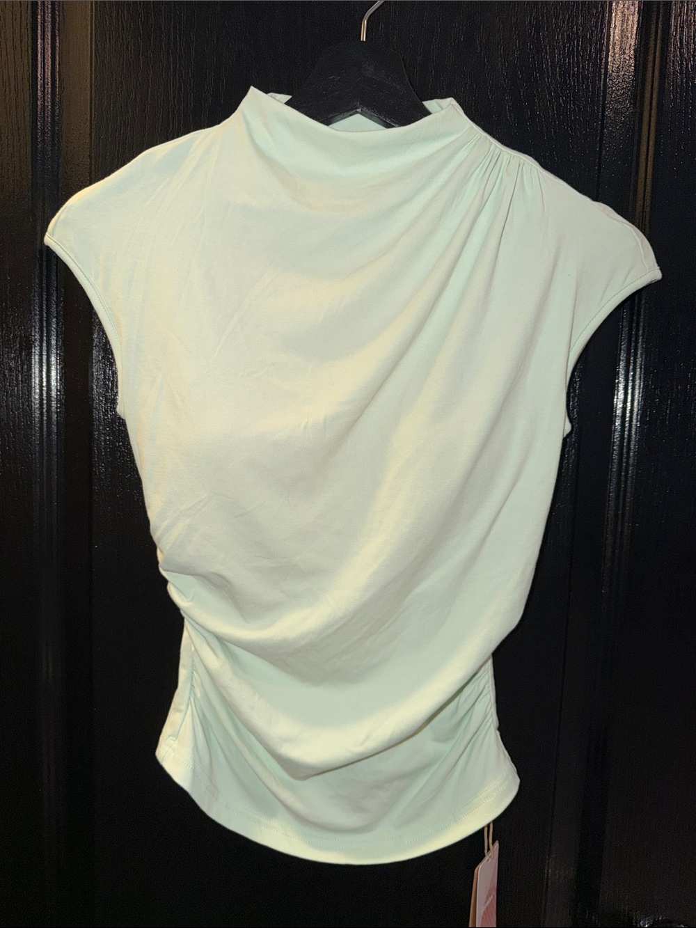 Eco-SkinKiss Mockneck Ruched Cropped Bra Top
